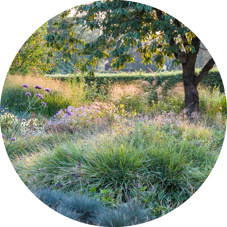 Groennelegepladser beplantning