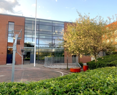 Tre falke_ 2_IMG_lille